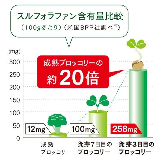 スルフォラファン含有量比較